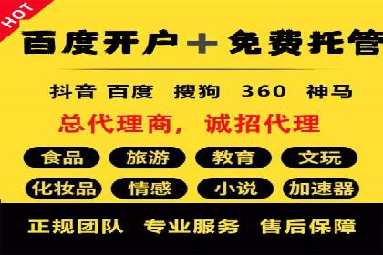 大型企业SEM外包实战案例