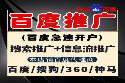 SEM推广案例：效果评估与改进